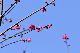 image0300