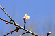 image0302