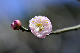 image0304