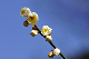 image0305