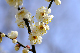 image0306