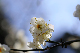 image0307