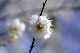 image0308
