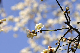 image0310