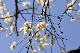 image0311