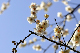 image0312