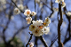 image0314
