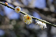 image0316