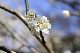 image0317