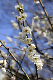 image0318