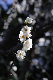 image0319