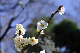 image0322
