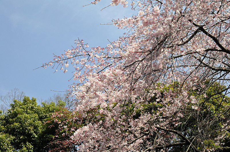 image0102