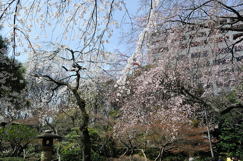image0104