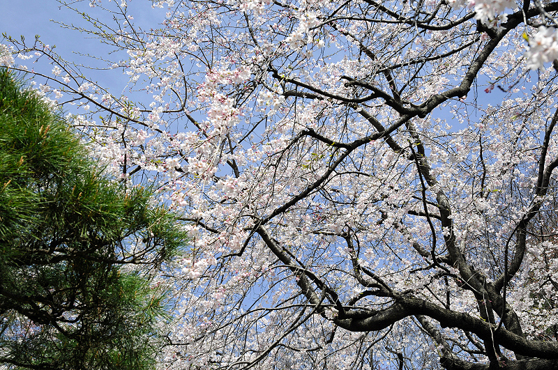 image0108