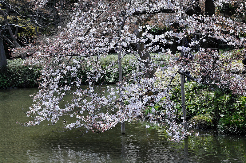 image0117