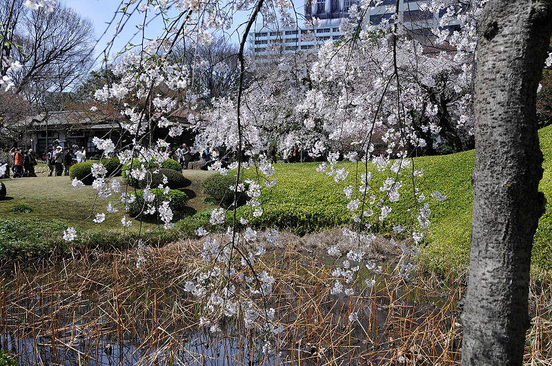 image0121