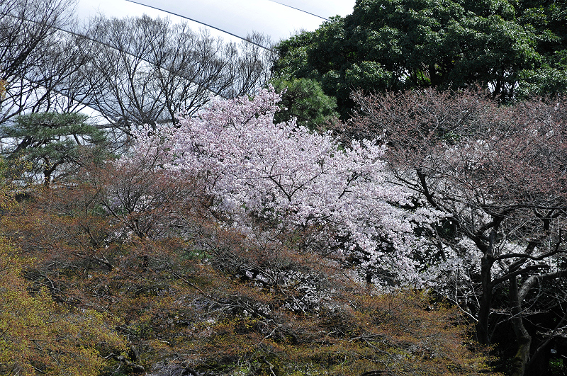 image0124