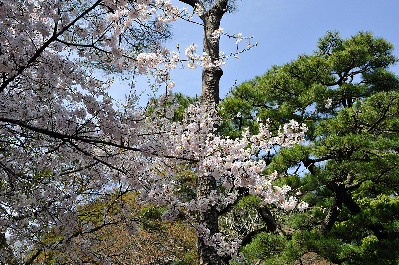 image0127