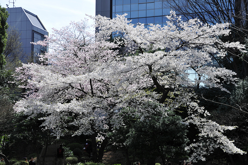 image0134