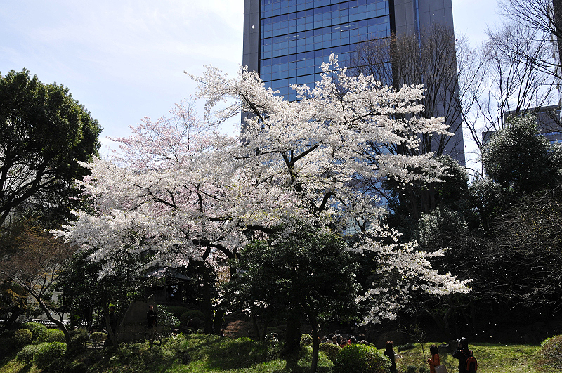 image0135