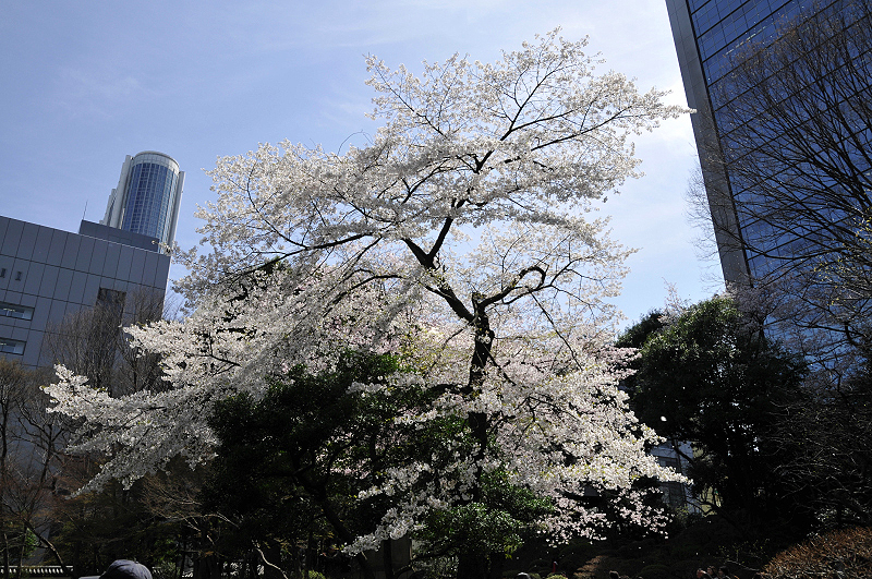 image0136