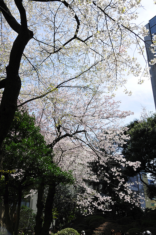 image0137