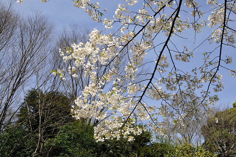 image0138