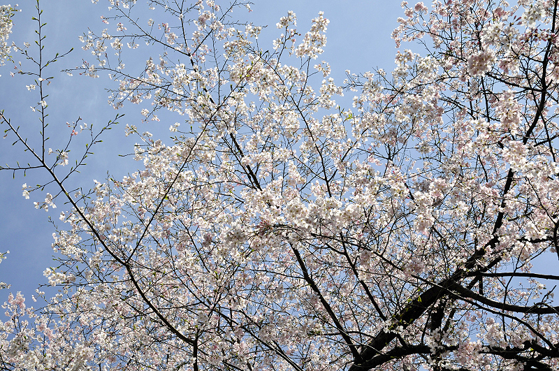image0139