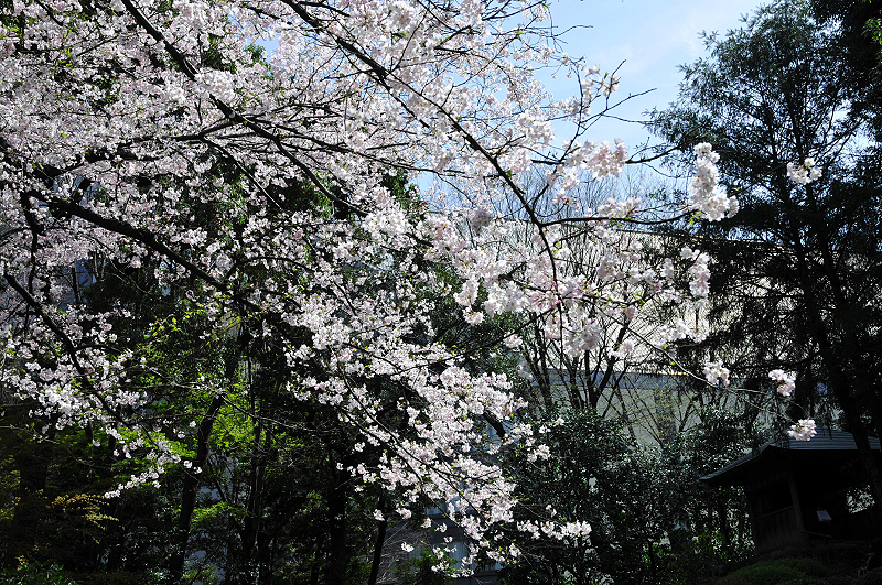 image0140