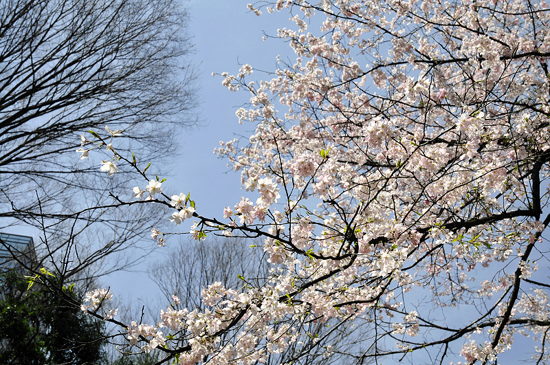 image0142