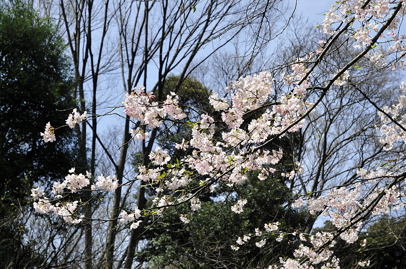 image0143