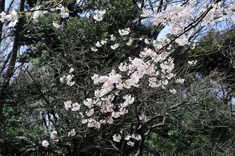 image0144