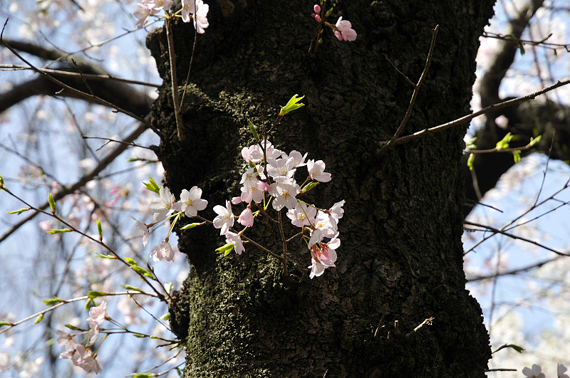 image0148