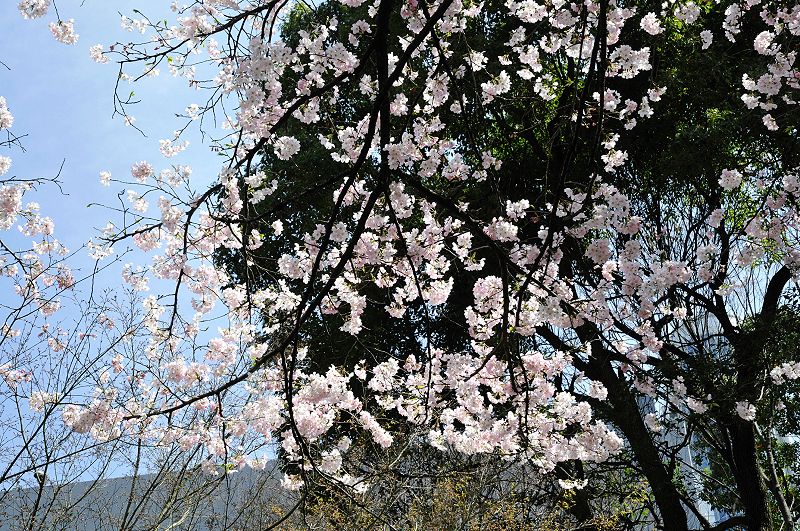 image0152