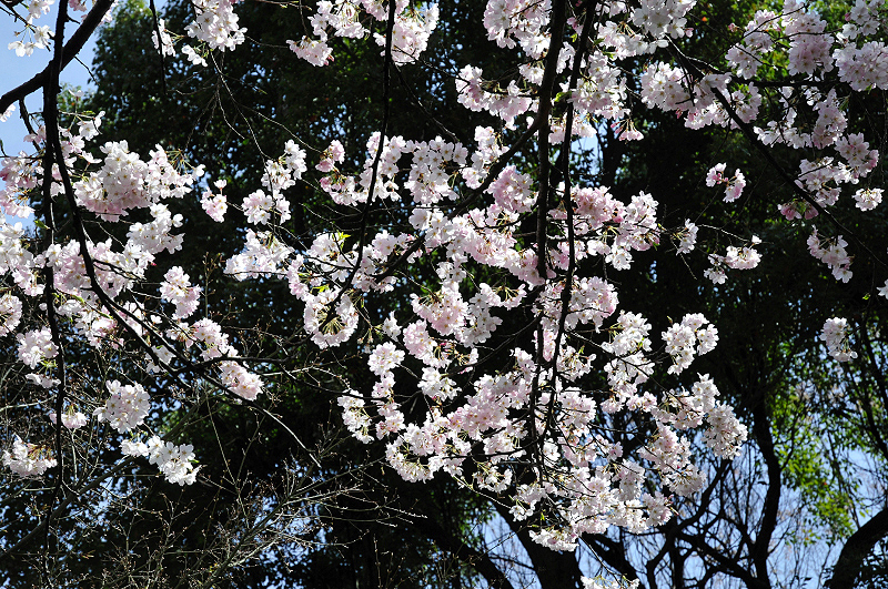 image0154