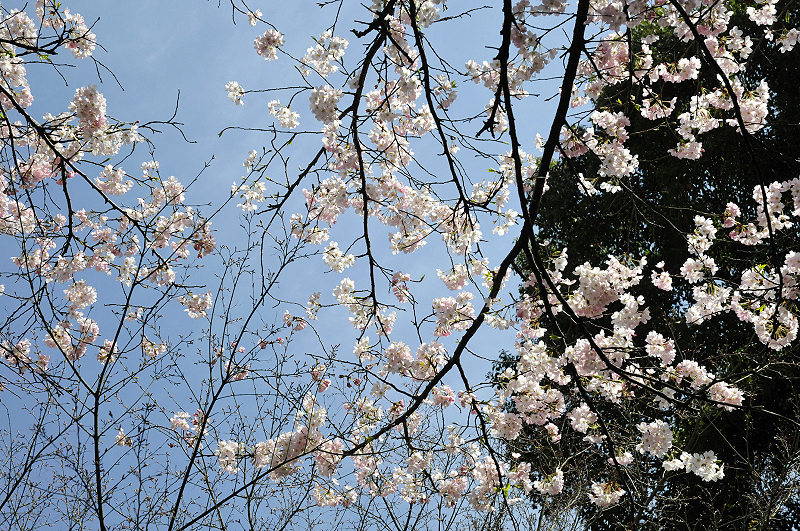 image0155