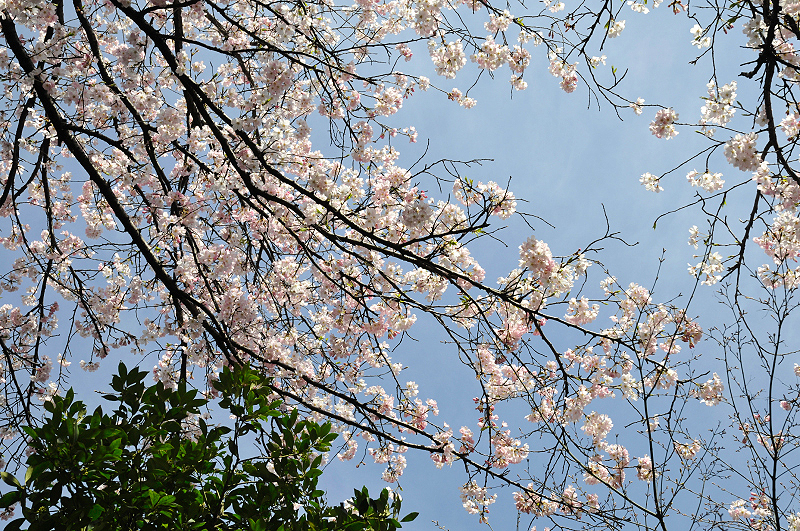 image0156
