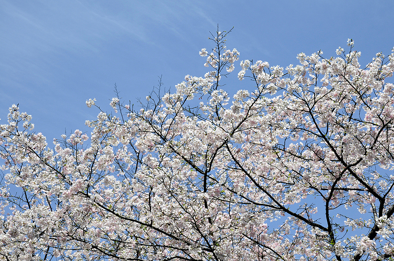 image0159