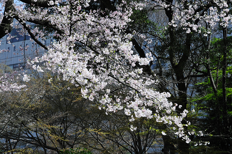 image0167