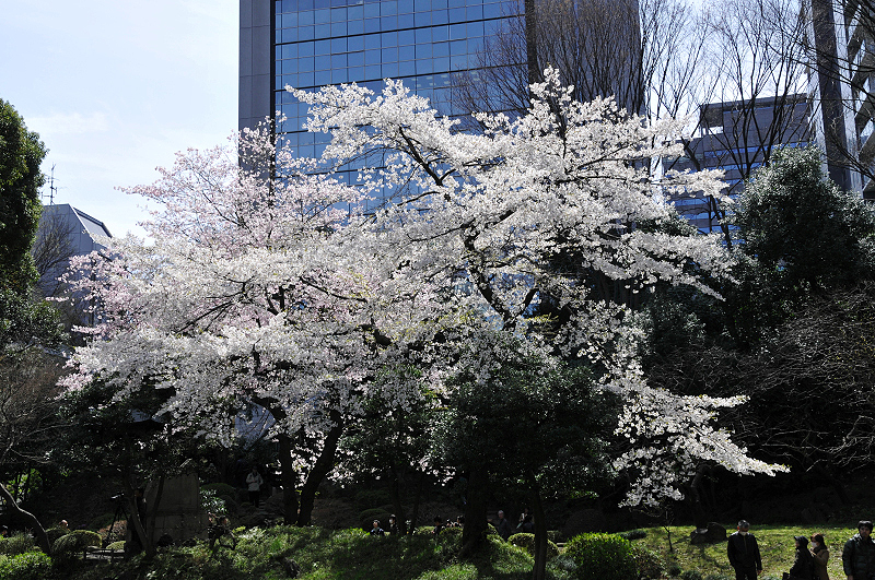 image0171