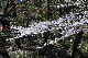 image0132
