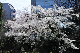 image0134