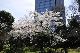image0135