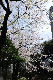 image0137