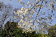 image0138