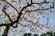 image0141