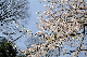 image0142