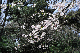 image0144
