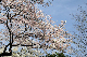 image0145